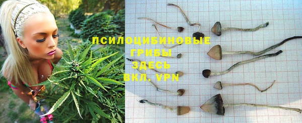 спиды Алзамай
