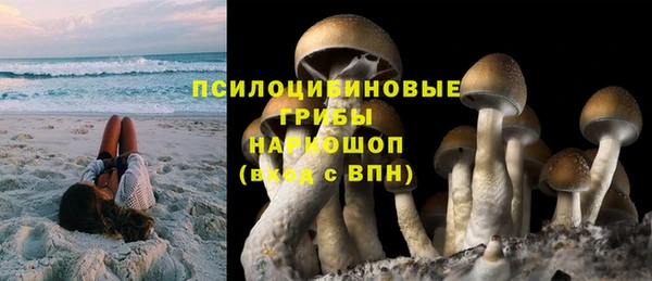 дмт Алексеевка